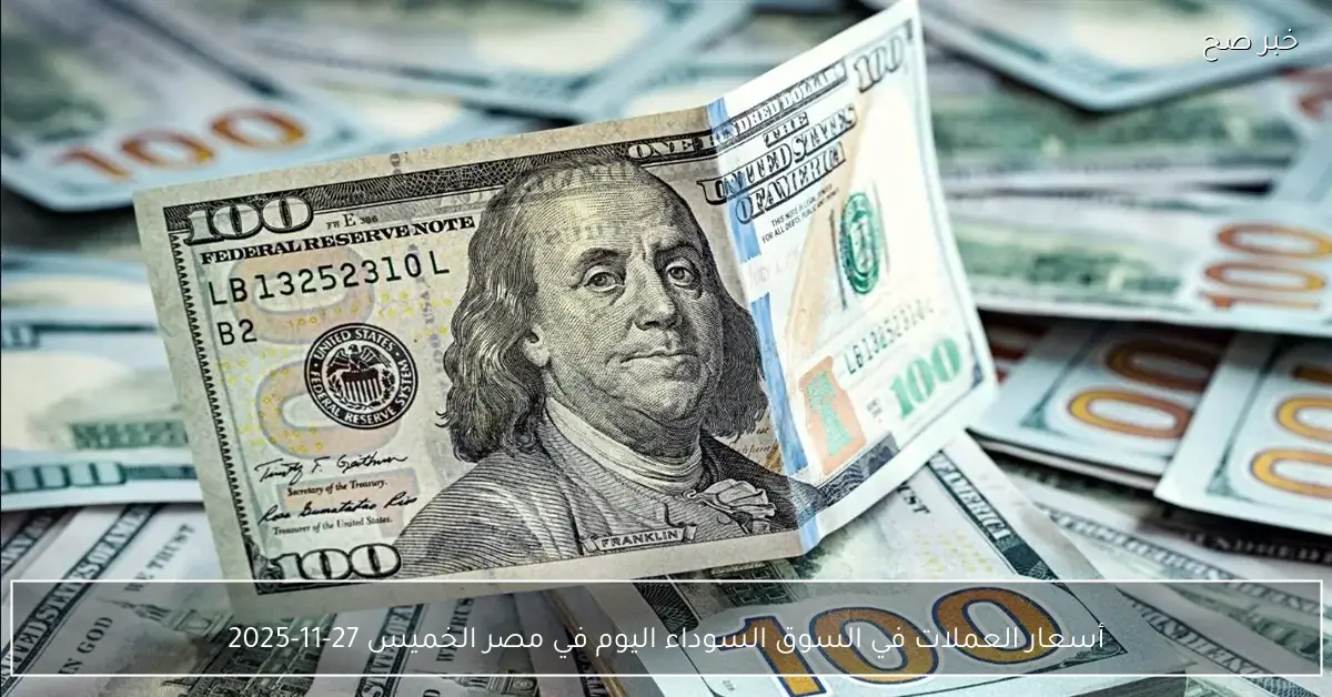 “العملات تتأرجح” أسعار العملات في السوق السوداء اليوم في مصر الخميس 27-11-2025
