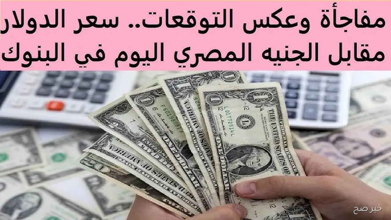 500 دولار بكام مصري؟ .. سعر الدولار مقابل الجنيه المصري اليوم السبت 15/11/2025 اخر تحديث