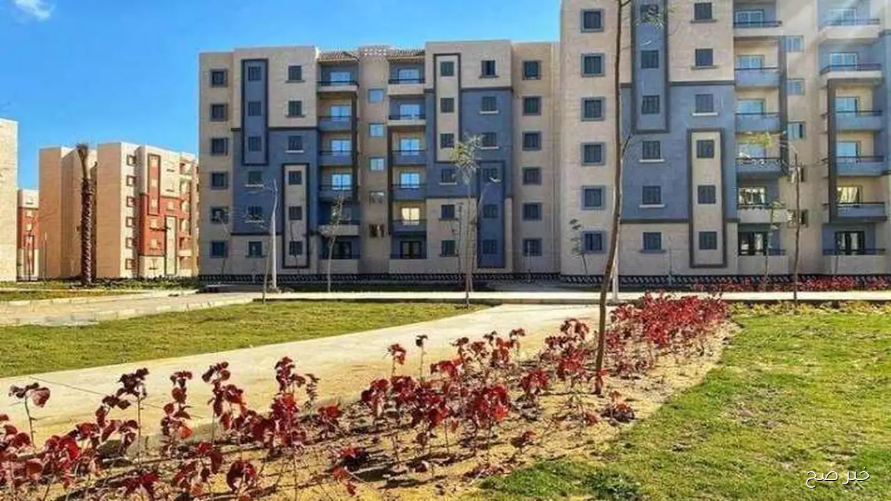 رابط فعال.. خطوات الاستعلام عن نتيجة شقق الإسكان الاجتماعي 2025 بالرقم القومي عبر cservices.shmff.gov.eg