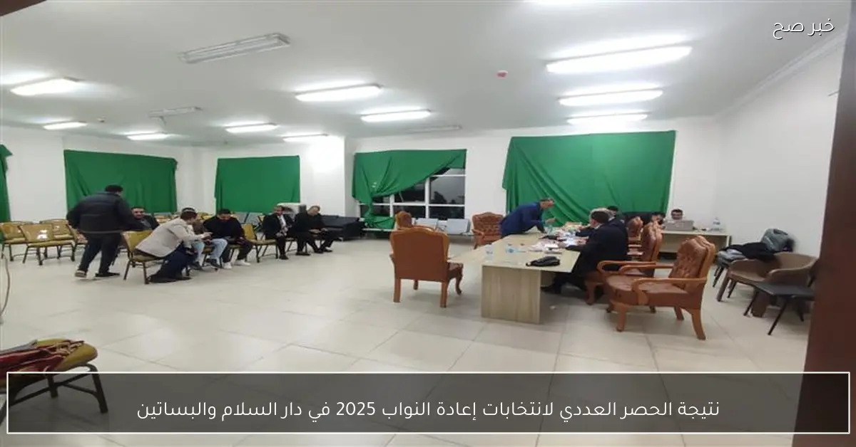 نتيجة الحصر العددي لانتخابات إعادة النواب 2025 في دار السلام والبساتين