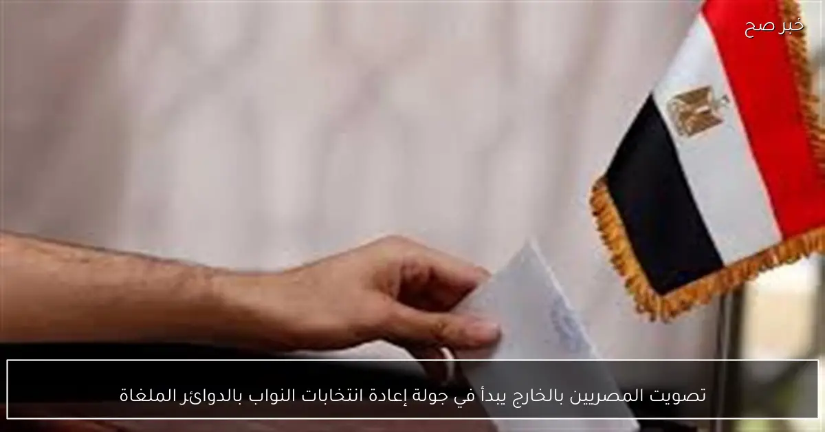تصويت المصريين بالخارج يبدأ في جولة إعادة انتخابات النواب بالدوائر الملغاة