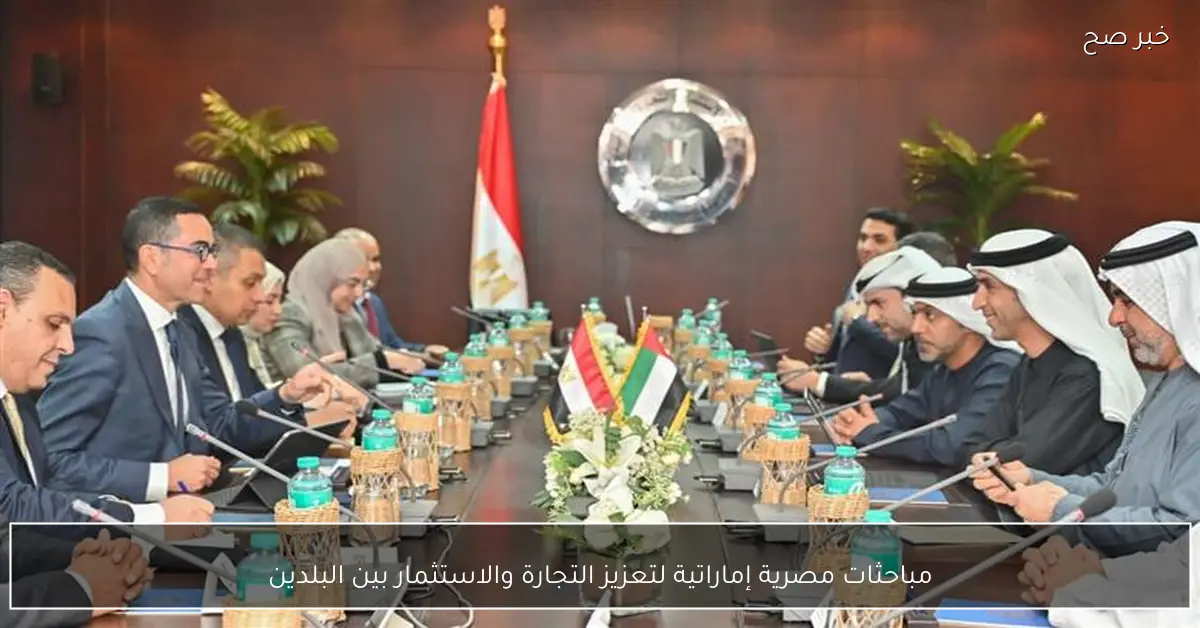 مباحثات مصرية إماراتية لتعزيز التجارة والاستثمار بين البلدين