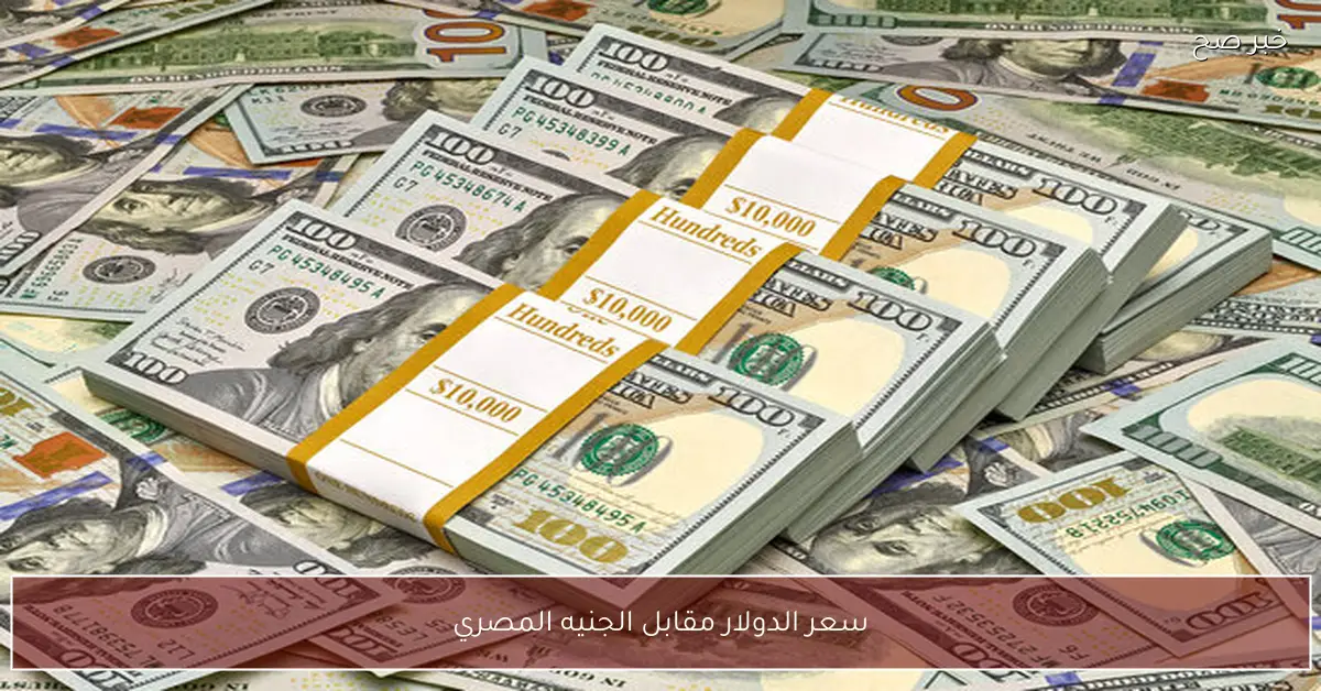 “بين ارتفاع وانخفاض”.. سعر الدولار مقابل الجنيه المصري اليوم في البنوك والسوق السوداء