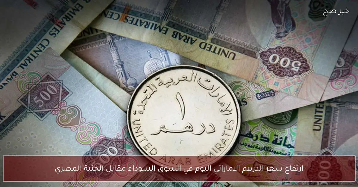 ارتفاع سعر الدرهم الاماراتي اليوم في السوق السوداء مقابل الجنية المصري