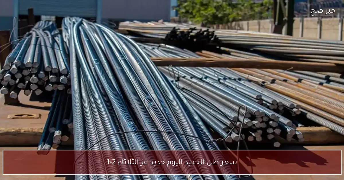 «هبوط جديد».. سعر طن الحديد اليوم حديد عز الثلاثاء 2-12-2025 للتجار والموزعين