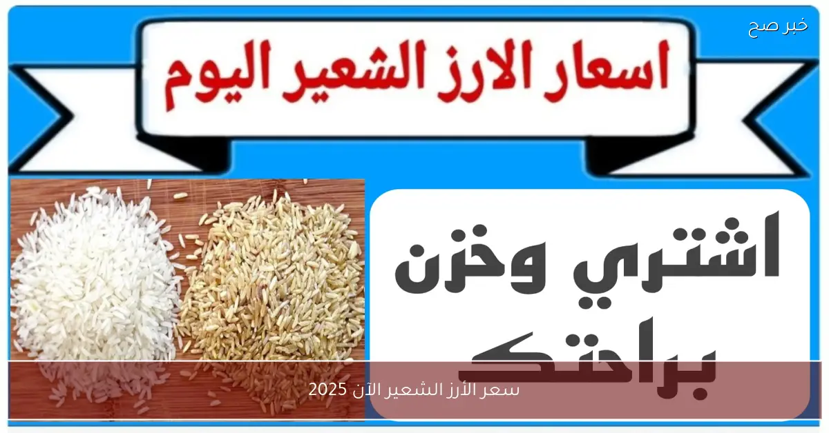 سعر الأرز الشعير الآن 2025.. مؤشرات جديدة تكشف اتجاهات السوق المحلي