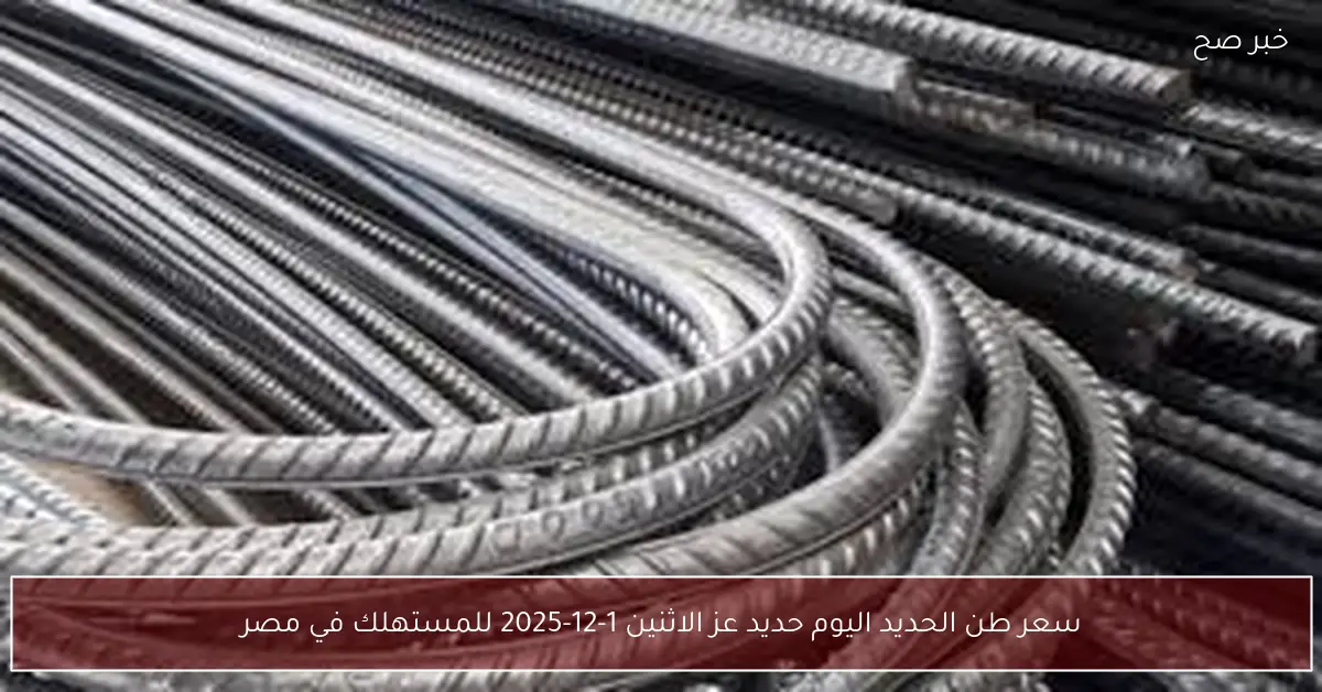 «عز يُواصل الصعود».. سعر طن الحديد اليوم حديد عز الاثنين 1-12-2025 للمستهلك في مصر
