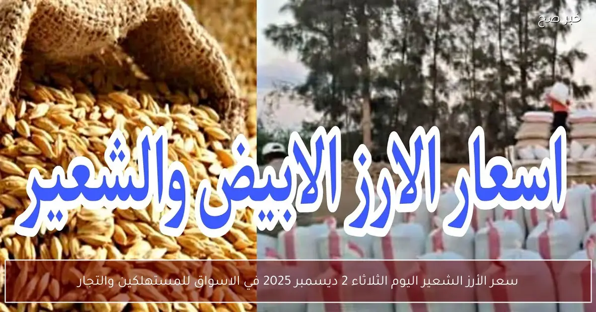 سعر الأرز الشعير اليوم الثلاثاء 2 ديسمبر 2025 في الاسواق للمستهلكين والتجار