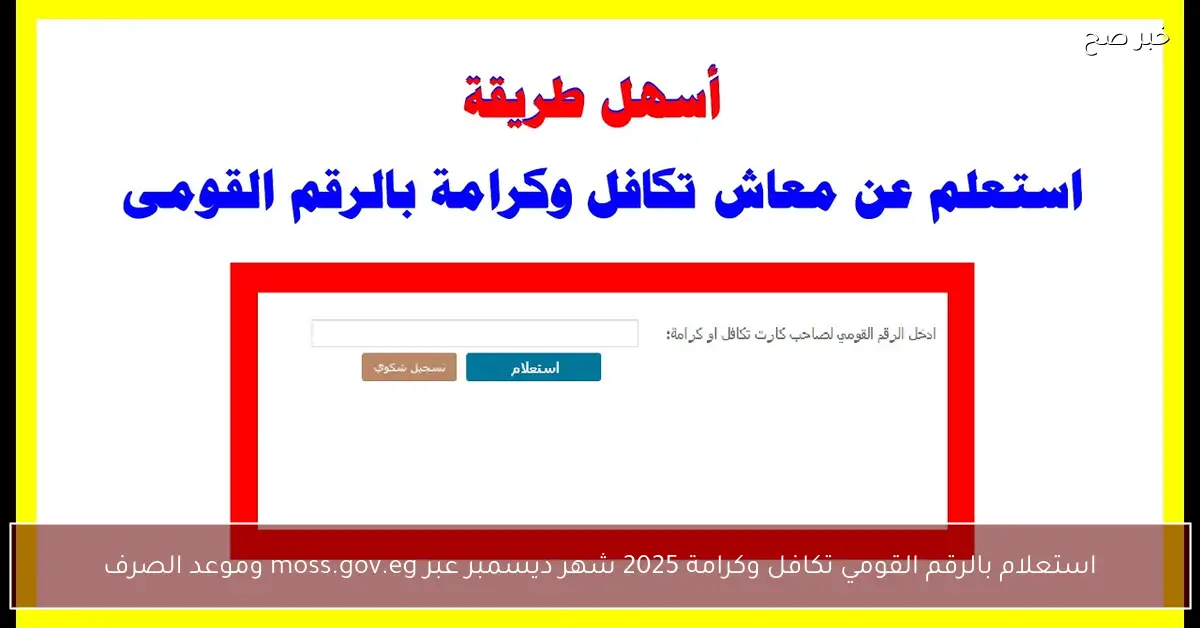 «من بيتك».. استعلام بالرقم القومي تكافل وكرامة 2025 شهر ديسمبر عبر moss.gov.eg وموعد الصرف