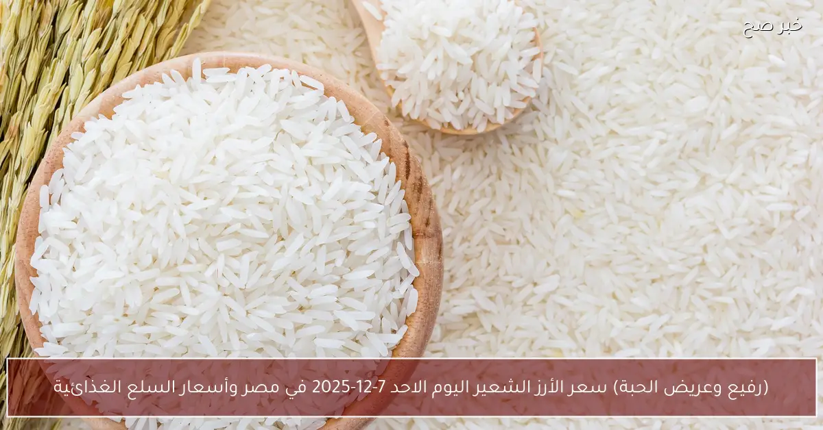 (رفيع وعريض الحبة) سعر الأرز الشعير اليوم الاحد 7-12-2025 في مصر وأسعار السلع الغذائية