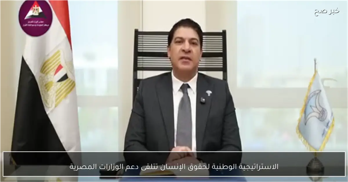 الاستراتيجية الوطنية لحقوق الإنسان تتلقى دعم الوزارات المصرية