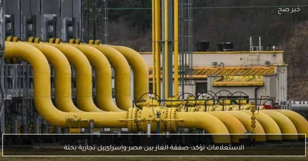 الاستعلامات تؤكد: صفقة الغاز بين مصر وإسرائيل تجارية بحتة