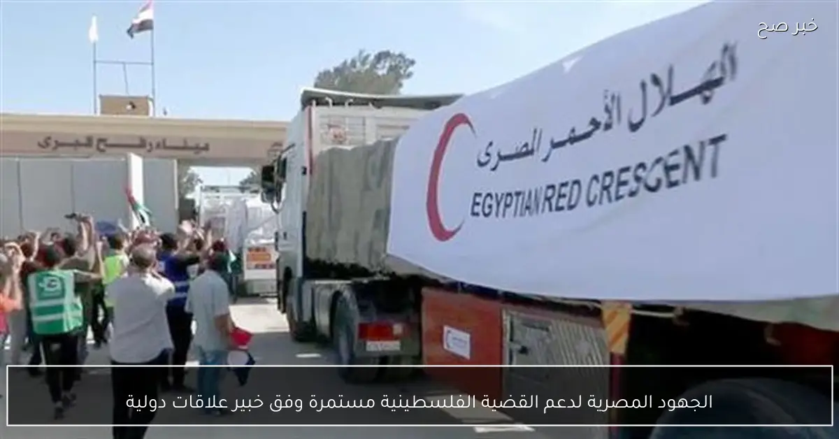 الجهود المصرية لدعم القضية الفلسطينية مستمرة وفق خبير علاقات دولية