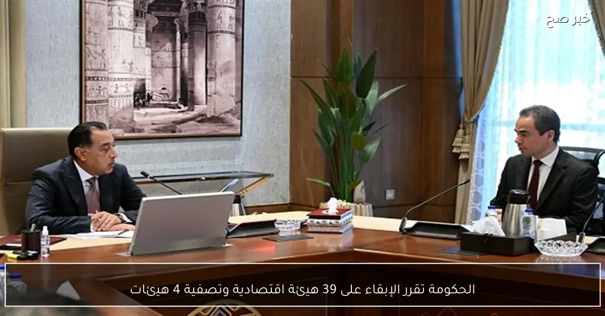 الحكومة تقرر الإبقاء على 39 هيئة اقتصادية وتصفية 4 هيئات