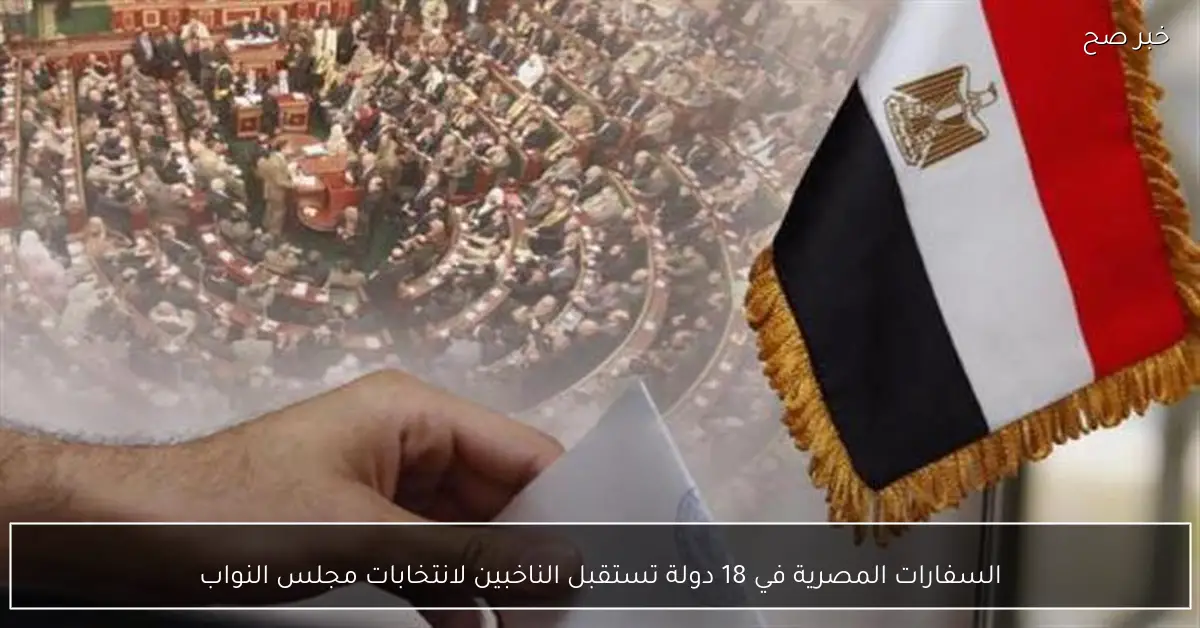 السفارات المصرية في 18 دولة تستقبل الناخبين لانتخابات مجلس النواب
