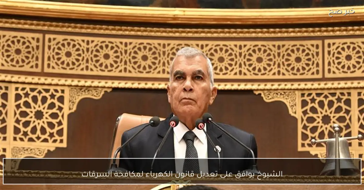 الشيوخ يوافق على تعديل قانون الكهرباء لمكافحة السرقات