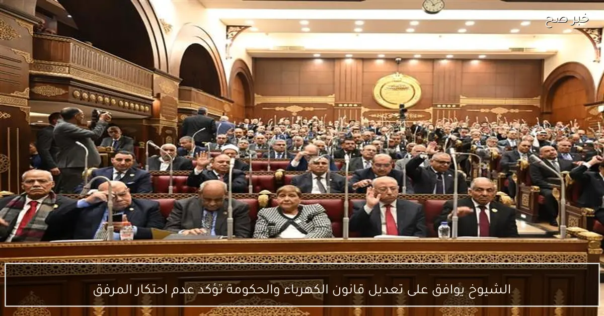 الشيوخ يوافق على تعديل قانون الكهرباء والحكومة تؤكد عدم احتكار المرفق