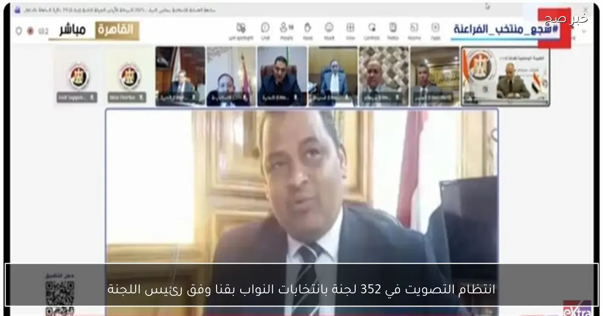 انتظام التصويت في 352 لجنة بانتخابات النواب بقنا وفق رئيس اللجنة