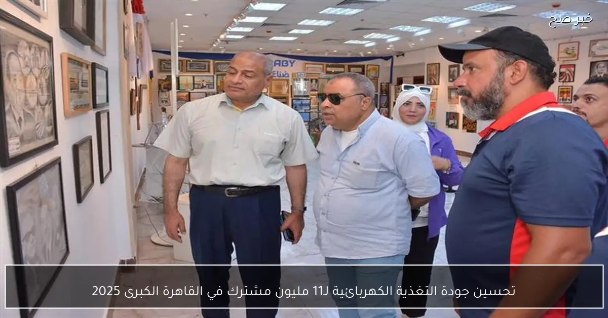 تحسين جودة التغذية الكهربائية لـ11 مليون مشترك في القاهرة الكبرى 2025