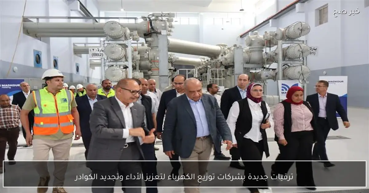 ترقيات جديدة بشركات توزيع الكهرباء لتعزيز الأداء وتجديد الكوادر