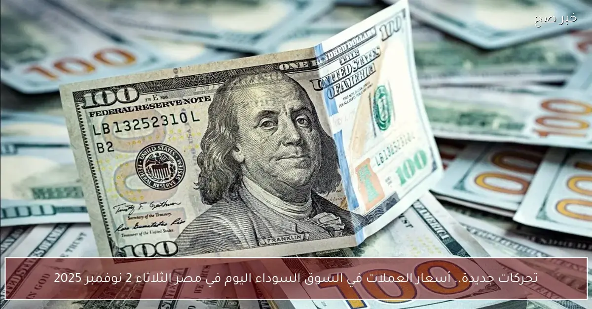 تحركات جديدة.. أسعار العملات في السوق السوداء اليوم في مصر الثلاثاء 2 نوفمبر 2025