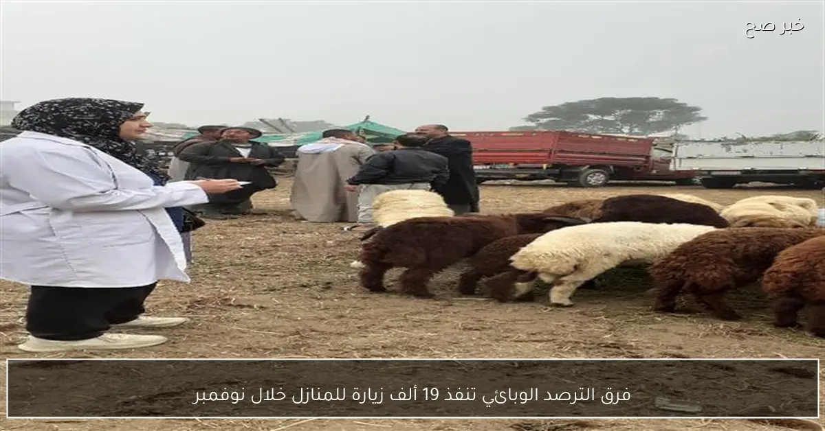 فرق الترصد الوبائي تنفذ 19 ألف زيارة للمنازل خلال نوفمبر