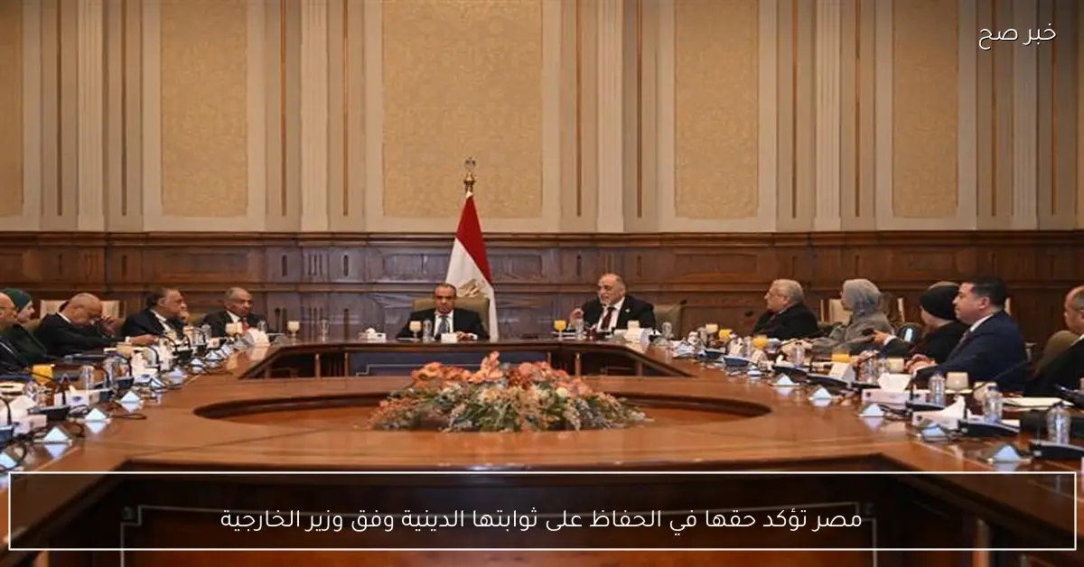 مصر تؤكد حقها في الحفاظ على ثوابتها الدينية وفق وزير الخارجية