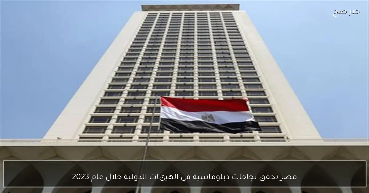 مصر تحقق نجاحات دبلوماسية في الهيئات الدولية خلال عام 2023