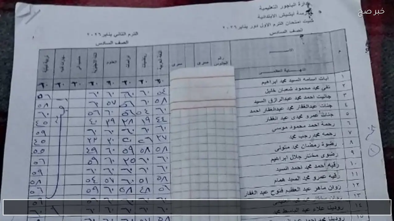 6 ابتدائي.. نتيجة الصف السادس الابتدائي 2026 الترم الأول بالاسم ورقم الجلوس