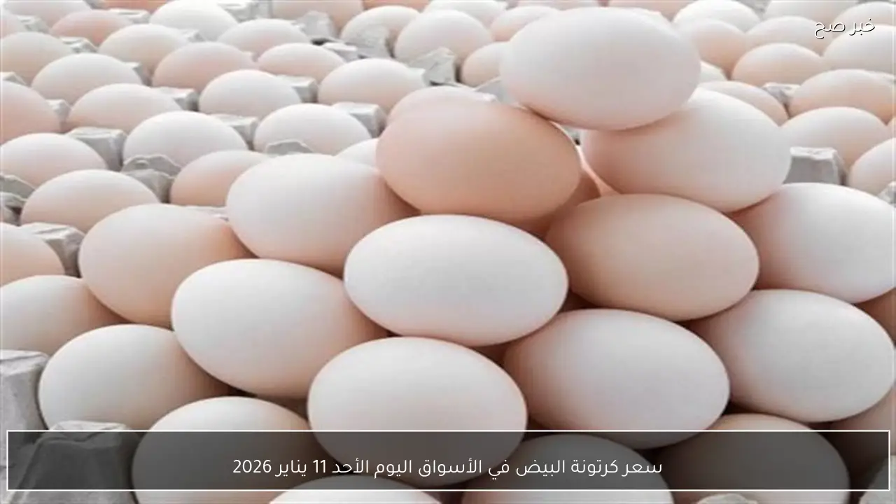 سعر كرتونة البيض في الأسواق اليوم الأحد 11 يناير 2026