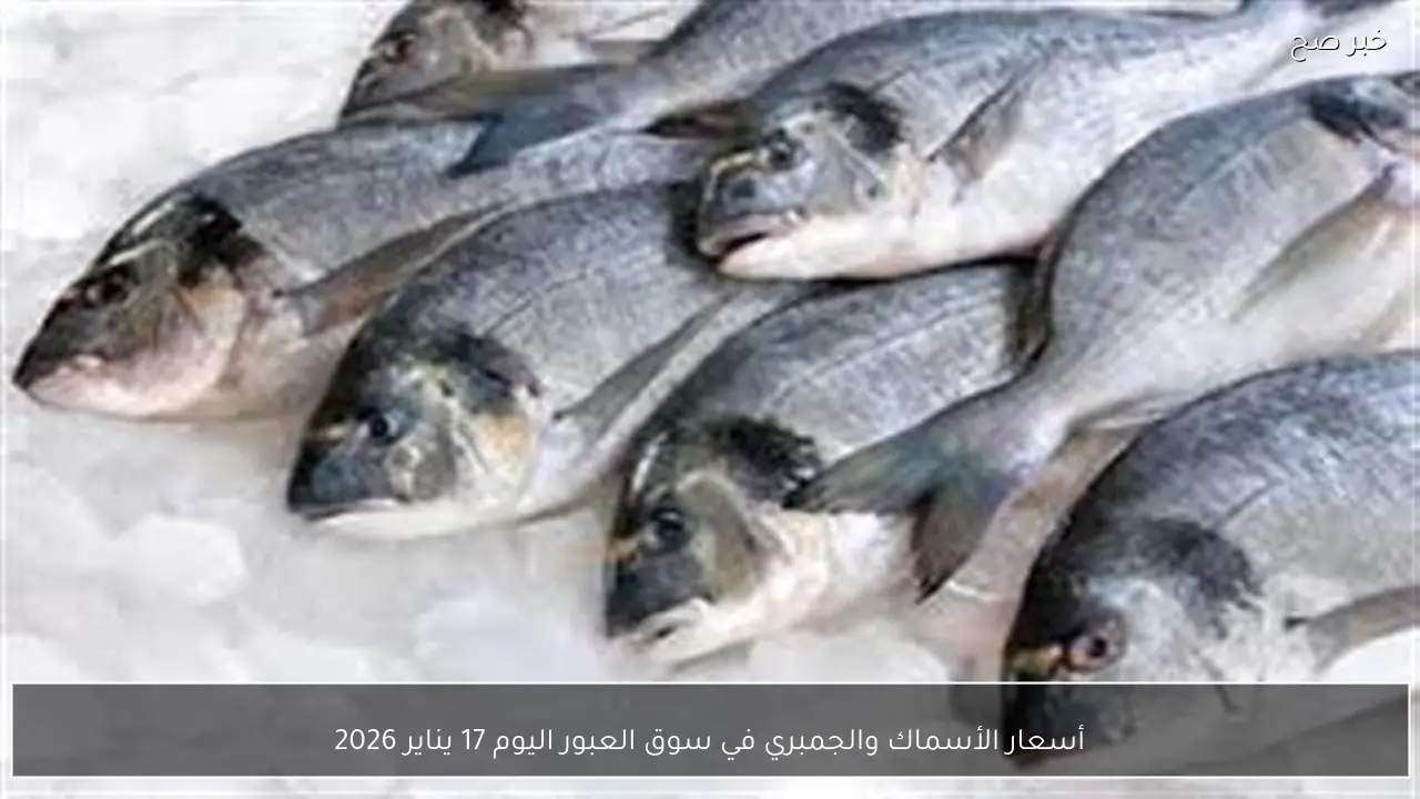 أسعار الأسماك والجمبري في سوق العبور اليوم 17 يناير 2026
