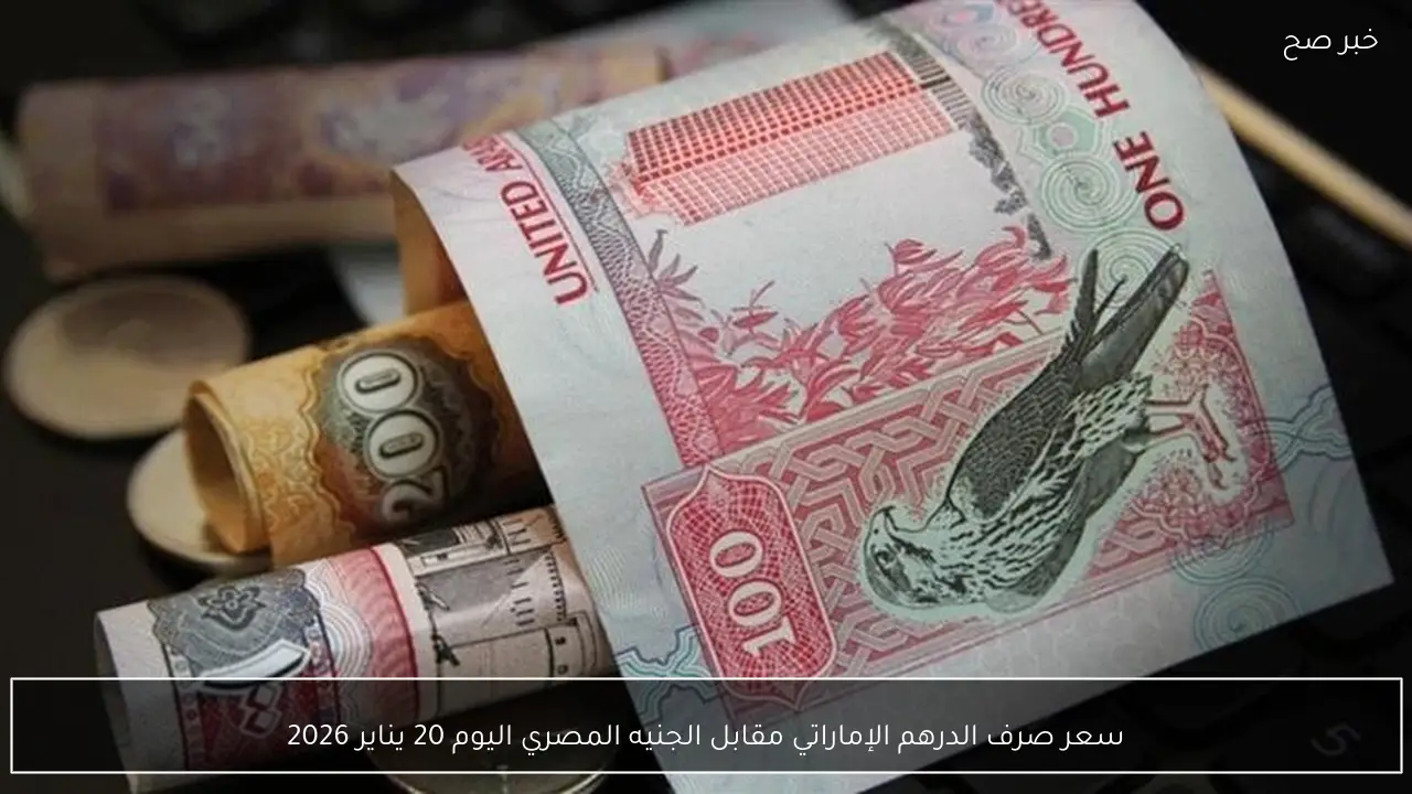 سعر صرف الدرهم الإماراتي مقابل الجنيه المصري اليوم 20 يناير 2026