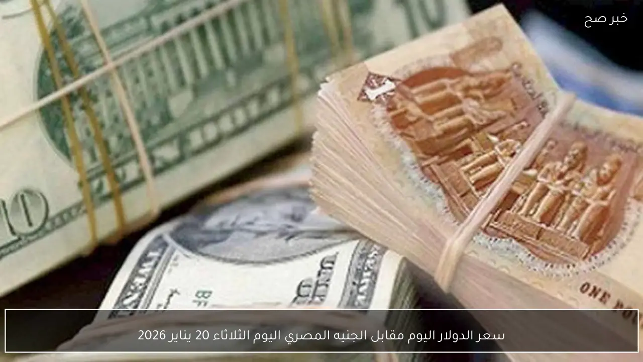 سعر الدولار اليوم مقابل الجنيه المصري اليوم الثلاثاء 20 يناير 2026 في البنوك والسوق السوداء