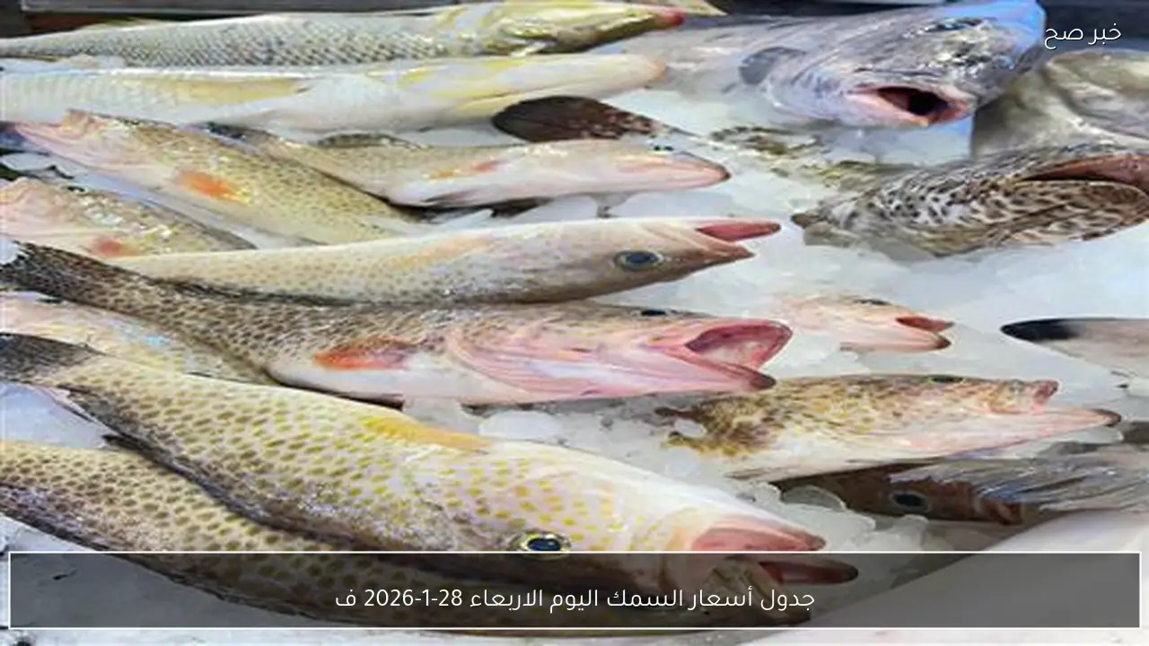 جدول أسعار السمك اليوم الاربعاء 28-1-2026 في سوق العبور للجملة.. المكرونة السويسي يتراوح بين 70 لـ 150 جنيهًا