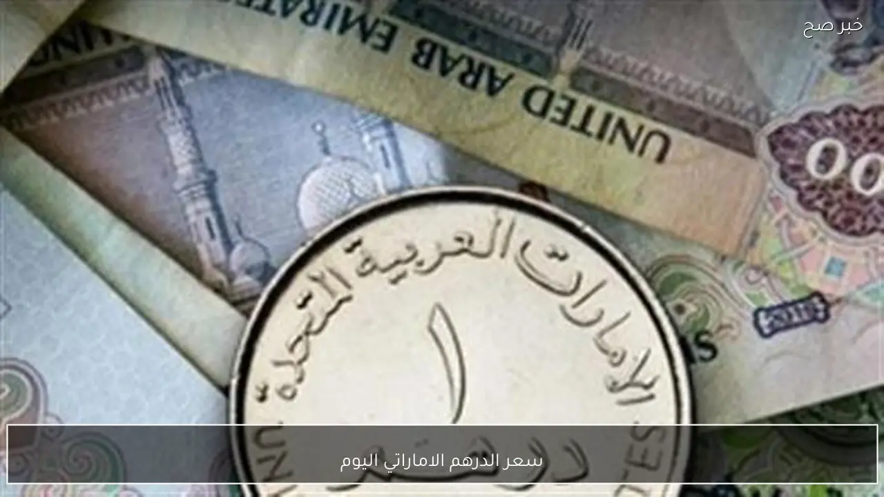 مباشر الآن.. سعر الدرهم الاماراتي اليوم مقابل الجنيه المصري في البنوك والسوق السوداء