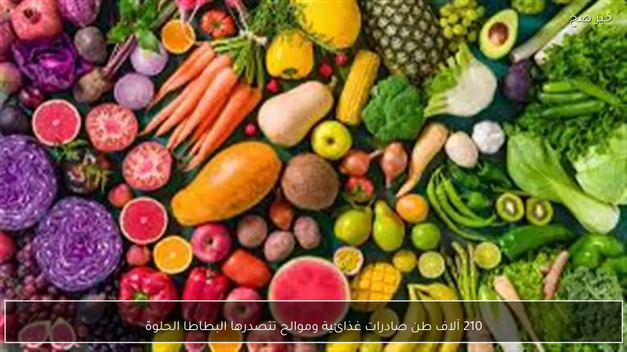 210 آلاف طن صادرات غذائية وموالح تتصدرها البطاطا الحلوة