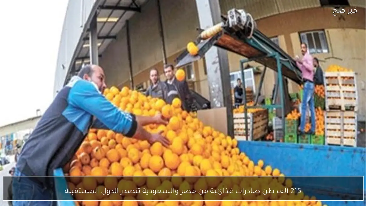 215 ألف طن صادرات غذائية من مصر والسعودية تتصدر الدول المستقبلة