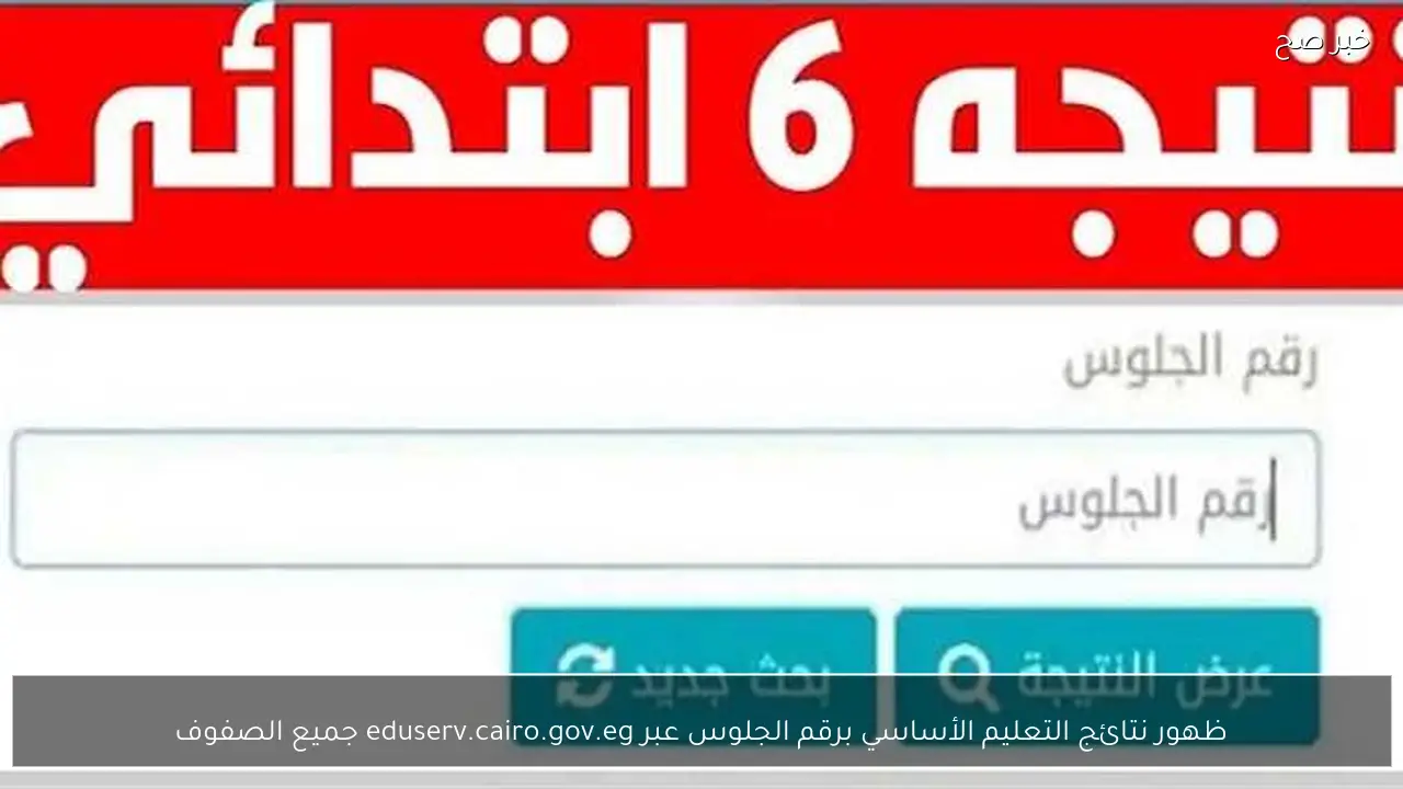 رسميًا ظهور نتائج التعليم الأساسي برقم الجلوس عبر eduserv.cairo.gov.eg جميع الصفوف