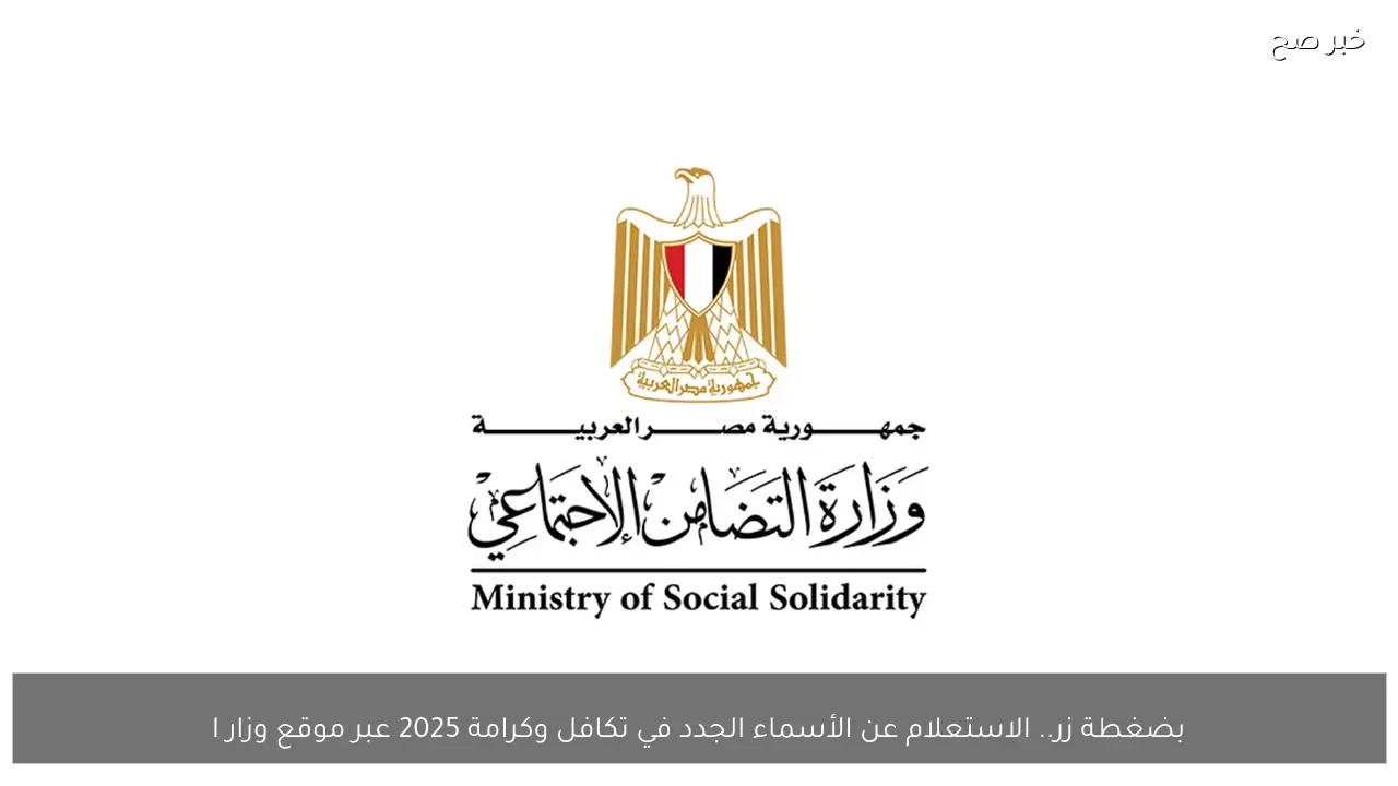 بضغطة زر.. الاستعلام عن الأسماء الجدد في تكافل وكرامة 2025 عبر موقع وزارة التضامن