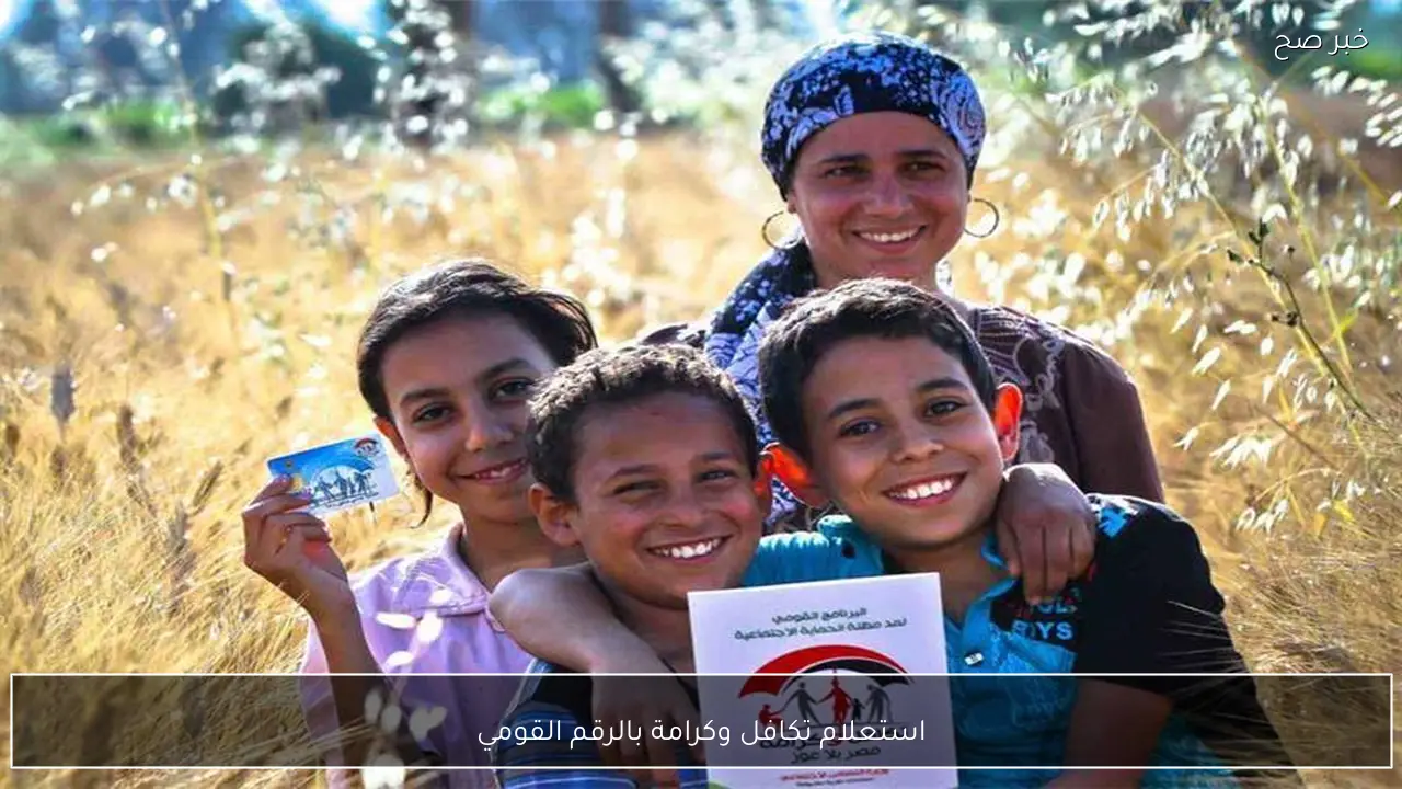 استعلام تكافل وكرامة بالرقم القومي ٢٠٢٥ عبر موقع وزارة التضامن الاجتماعي