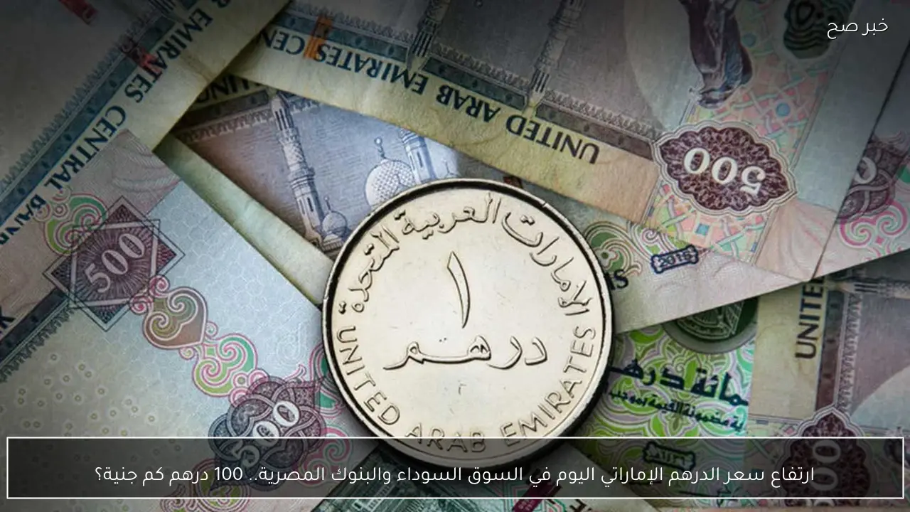 ارتفاع سعر الدرهم الإماراتي اليوم في السوق السوداء والبنوك المصرية.. 100 درهم كم جنية؟