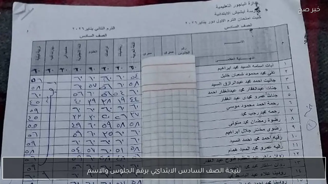 نتيجة الصف السادس الابتدائي برقم الجلوس والاسم 2026 الترم الاول متاحة الآن عبر بوابة التعليم الاساسي