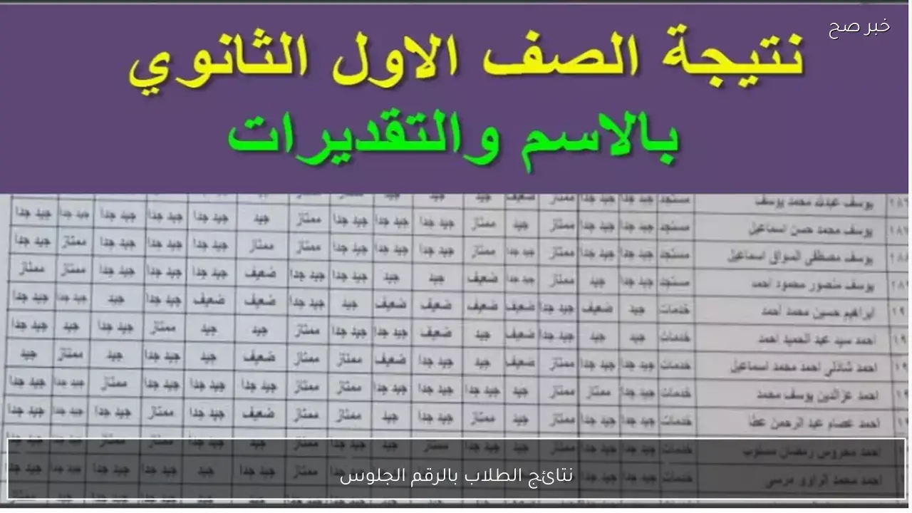 استخراج نتائج الطلاب بالرقم الجلوس لجميع الصفوف التعليمة عبر eduserv.cairo.gov.eg