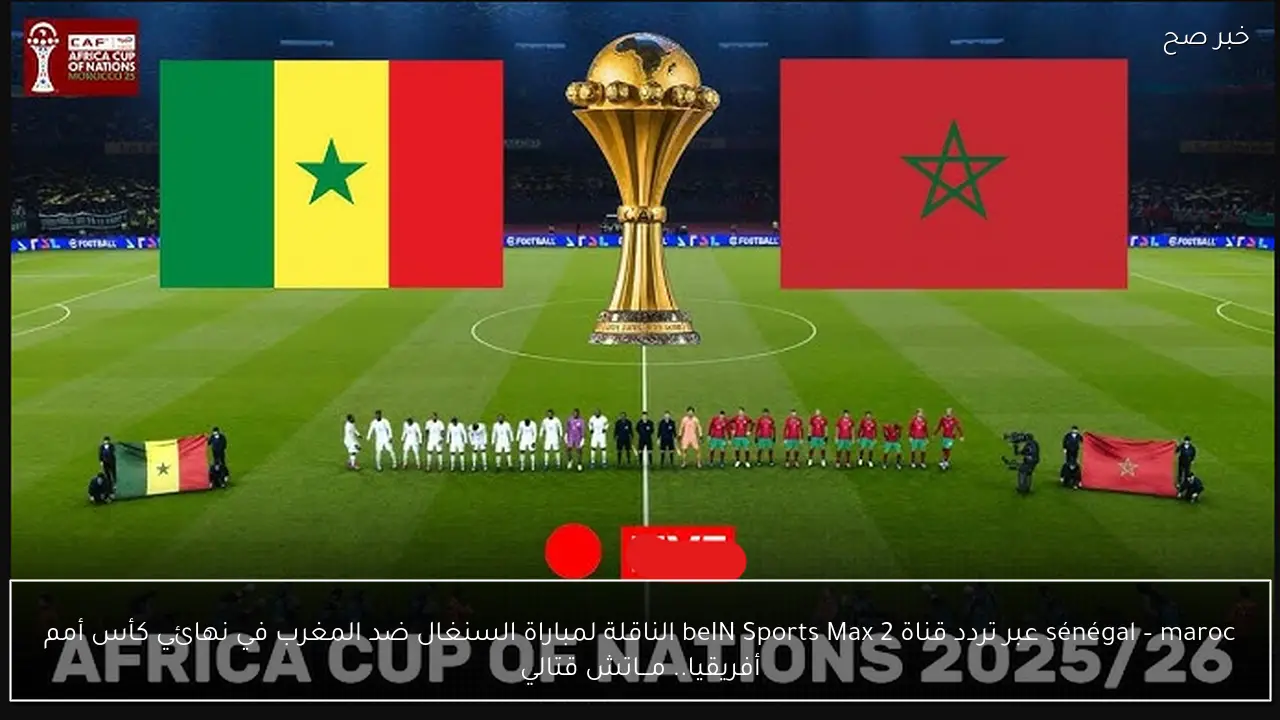 sénégal – maroc عبر تردد قناة beIN Sports Max 2 الناقلة لمباراة السنغال ضد المغرب في نهائي كأس أمم أفريقيا.. مـــاتش قتالي