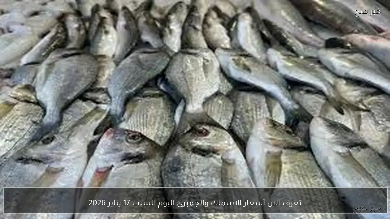 تعرف الان على أسعار الأسماك والجمبري اليوم السبت 17 يناير 2026