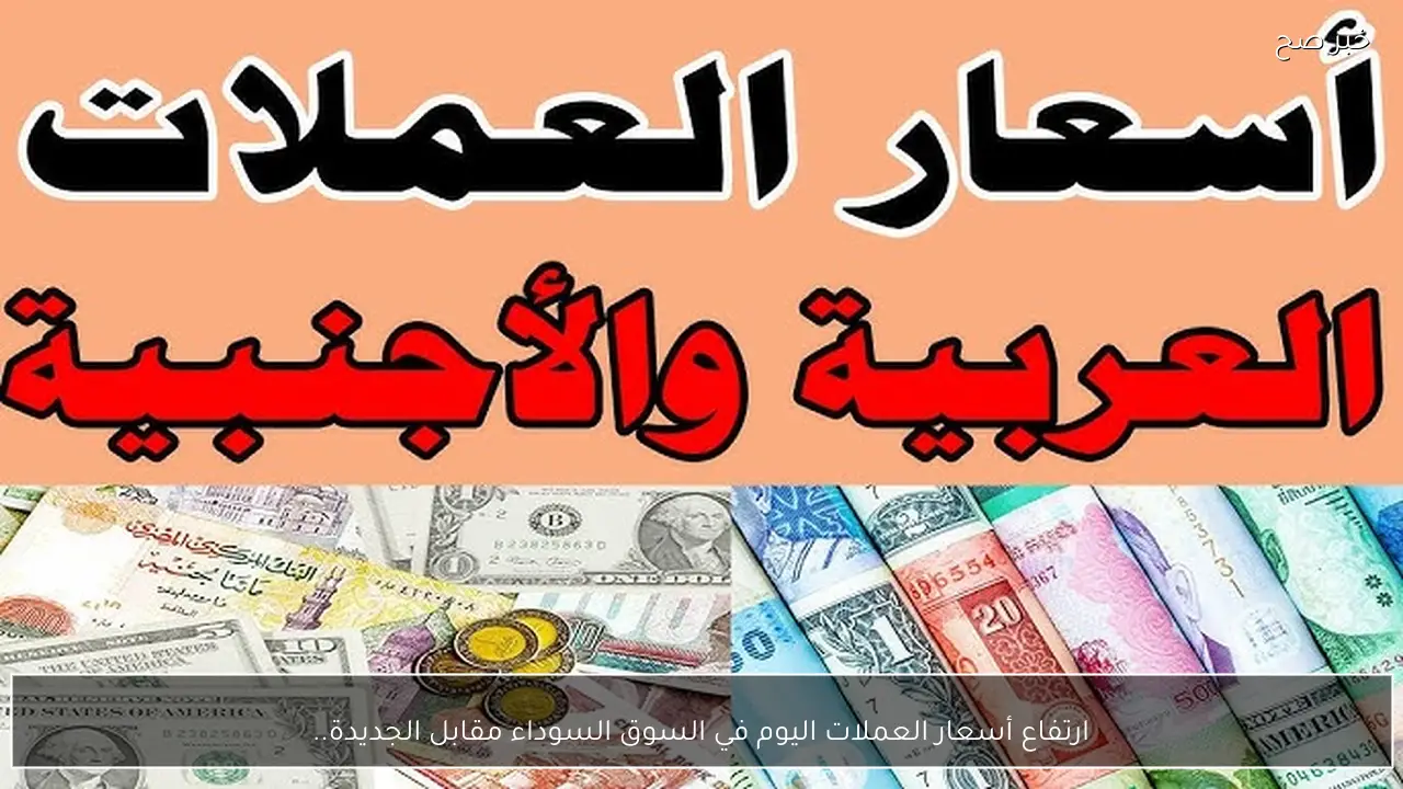 ارتفاع أسعار العملات اليوم في السوق السوداء مقابل الجنية.. تحديثات جديدة للبيع والشراء