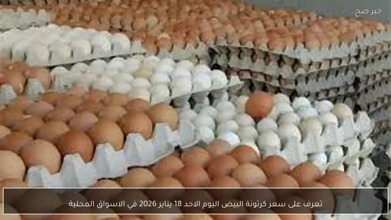 تعرف على سعر كرتونة البيض اليوم الاحد 18 يناير 2026 في الاسواق المحلية