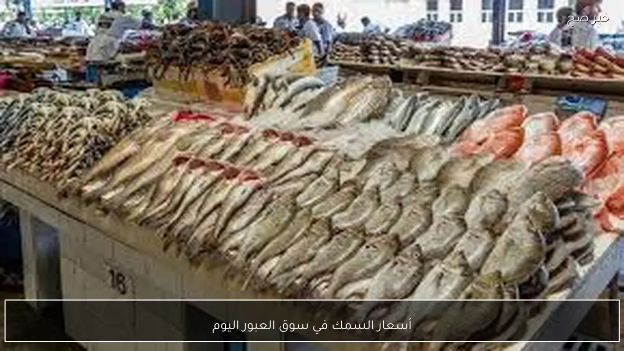 قائمة أسعار السمك في سوق العبور اليوم الثلاثاء 20-1-2026 للمستهلك بآخر تحديث