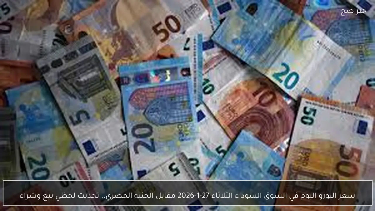 سعر اليورو اليوم في السوق السوداء الثلاثاء 27-1-2026 مقابل الجنيه المصري.. تحديث لحظي بيع وشراء