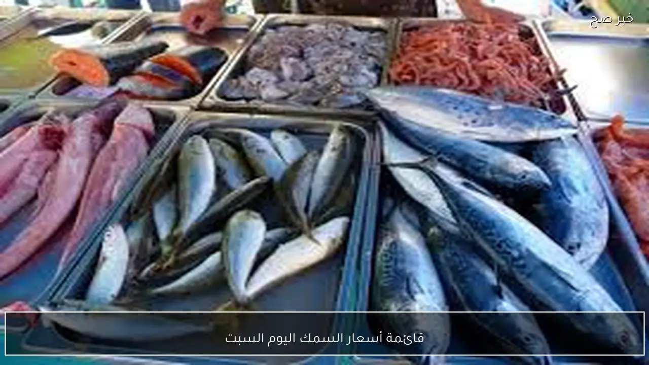قائمة أسعار السمك اليوم السبت 31 يناير 2026 في سوق العبور للجملة والقطاعي وفق آخر تحديث